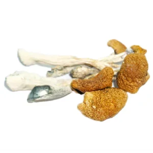 Martinique Mushrooms